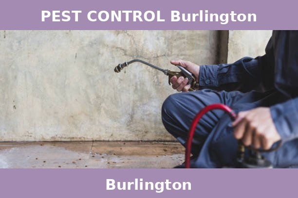 PEST CONTROL Burlington